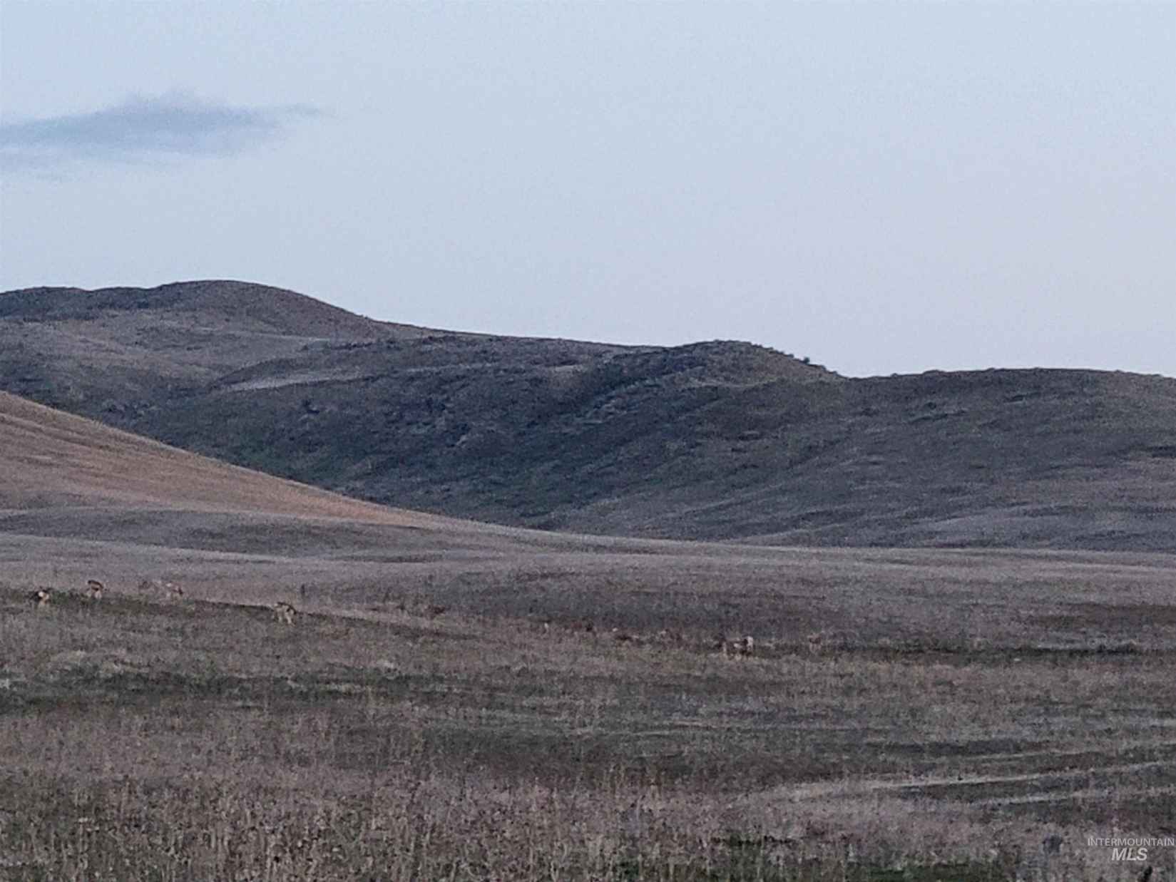 Tbd Little Willow Rd ( Parcel Unit 1 )  