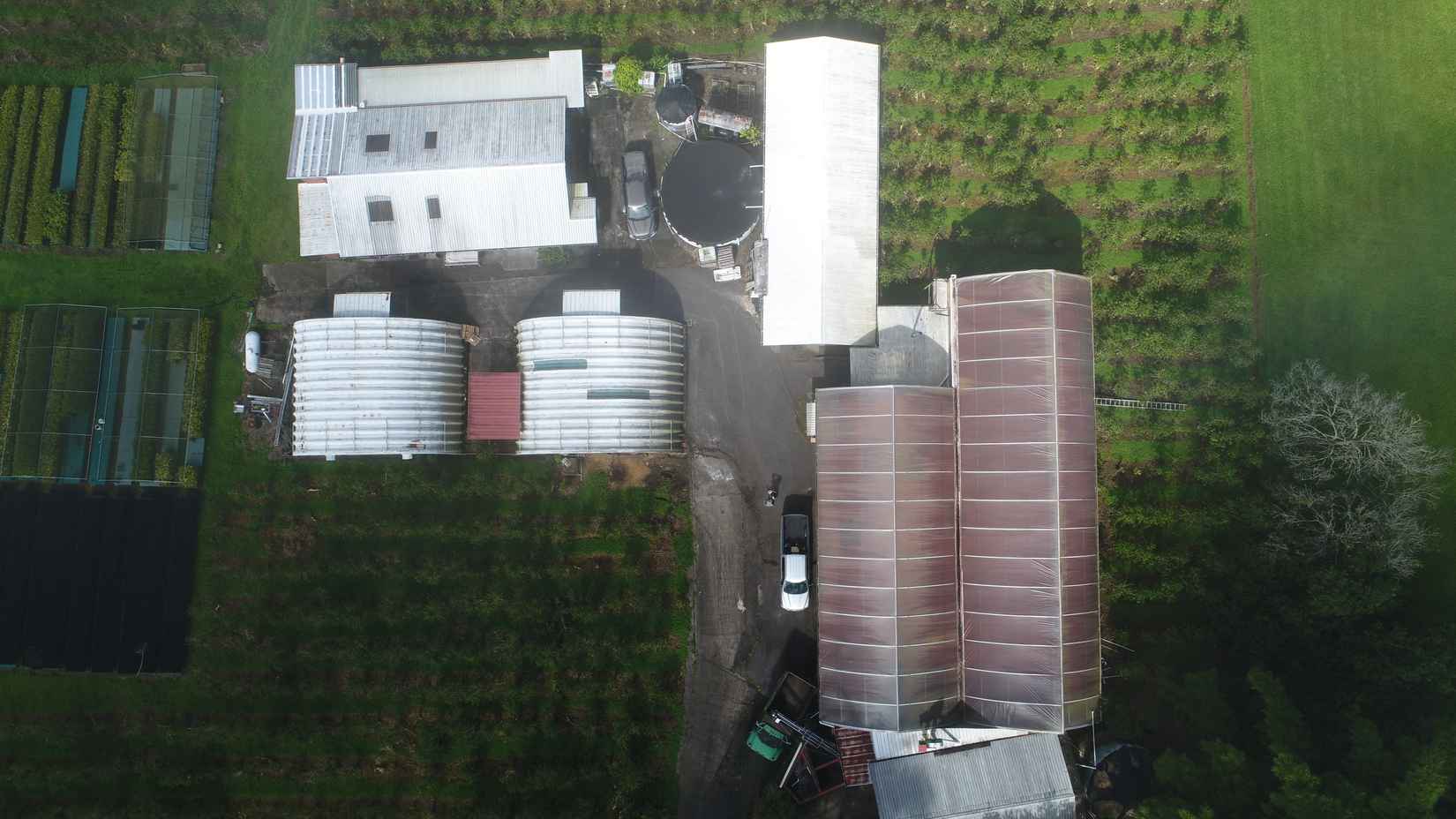 82-1187 GREENWELL Mtn RD  