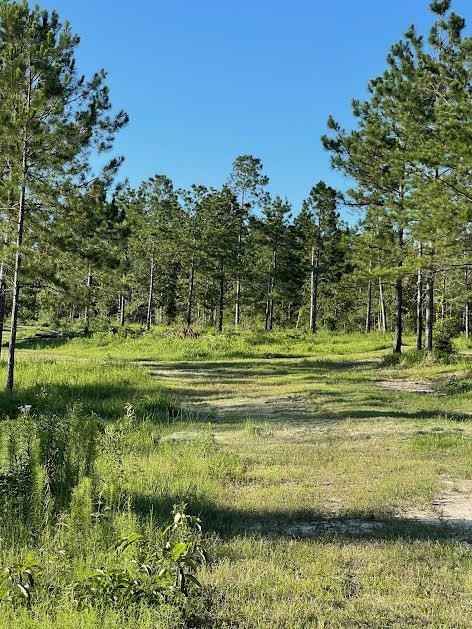 00 Lot G Ervin Ladner Rd  