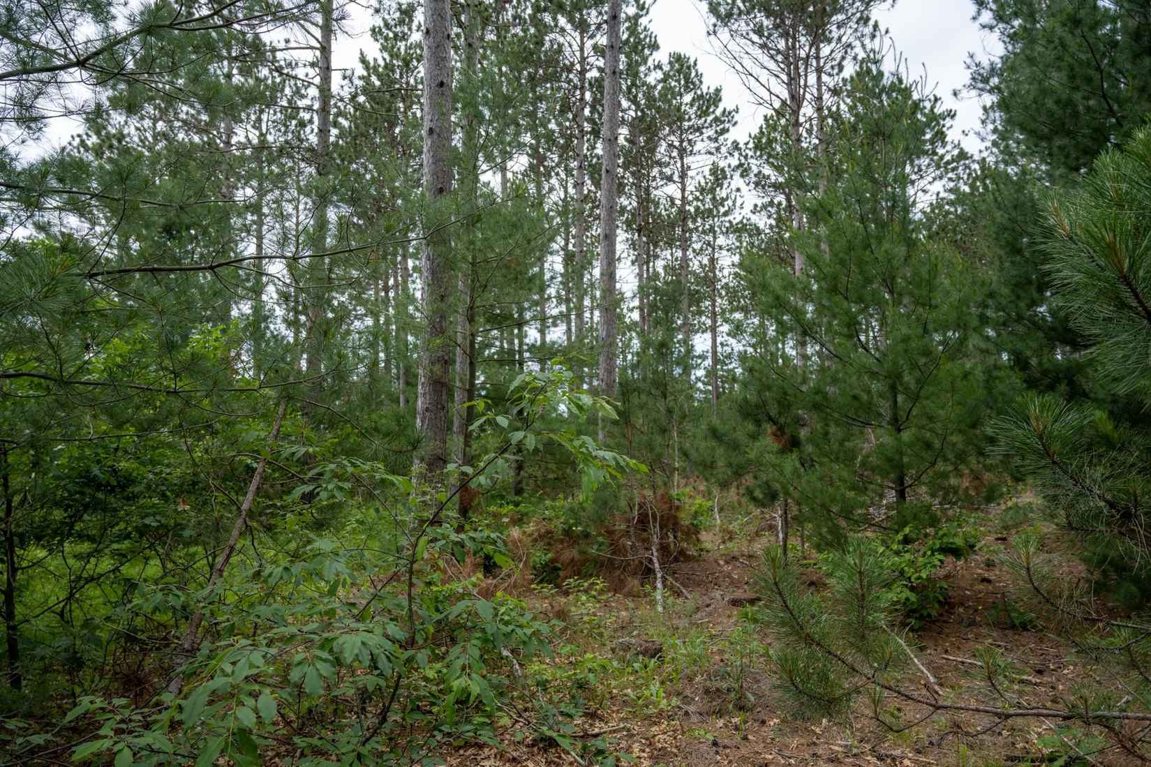 Lot 1 Bollig Ct  