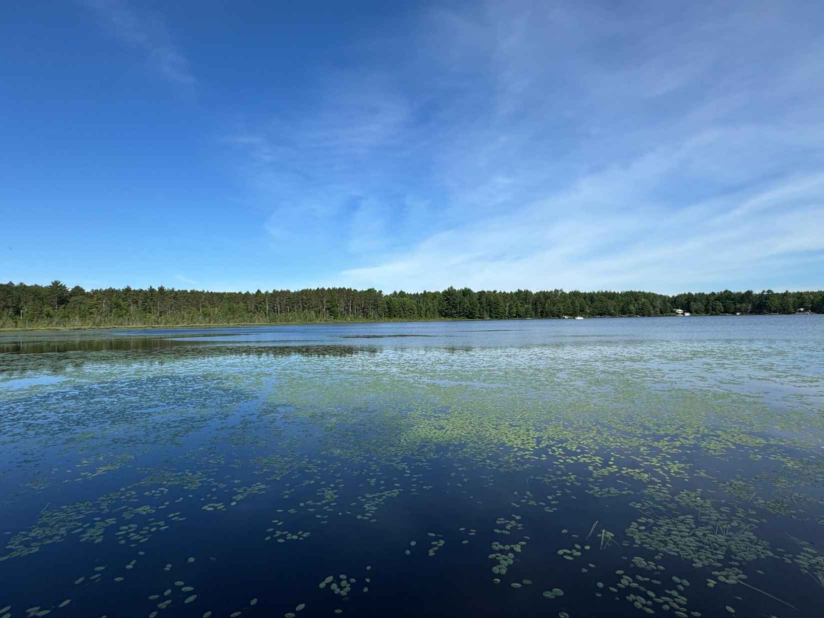 Lot 2 WALSH RD  