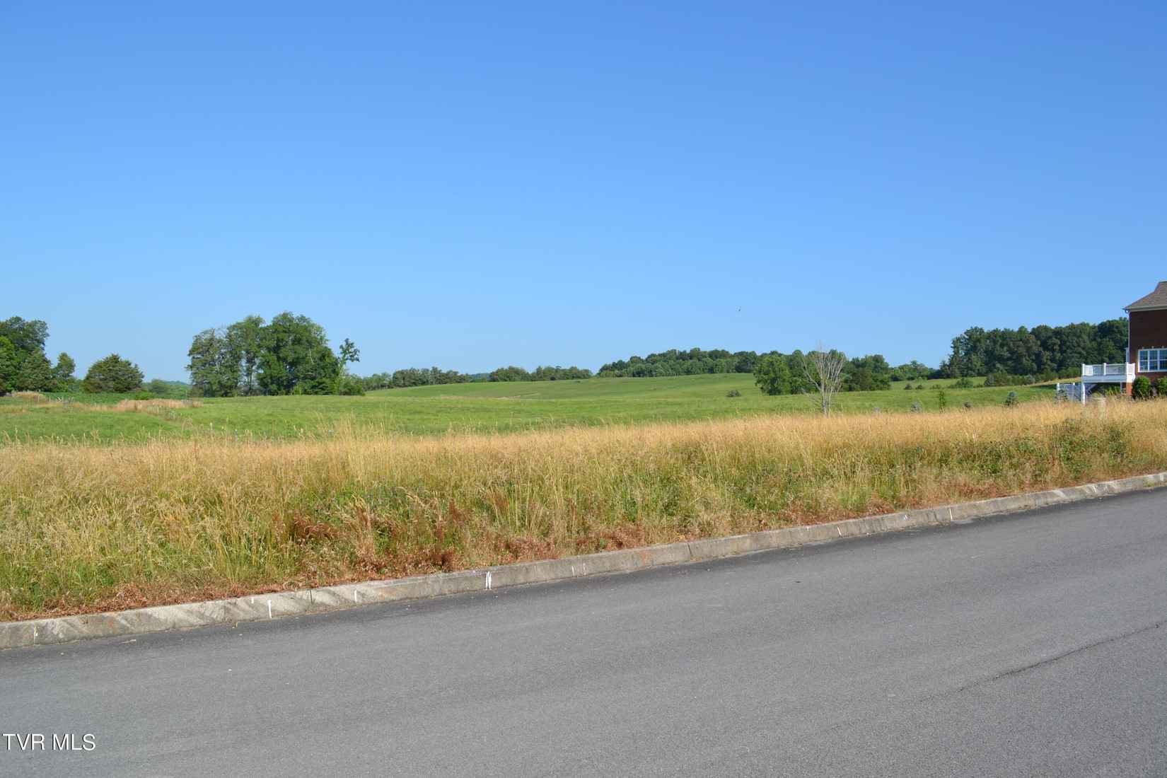 Lot 42 Walnut Grove Rd Dr  