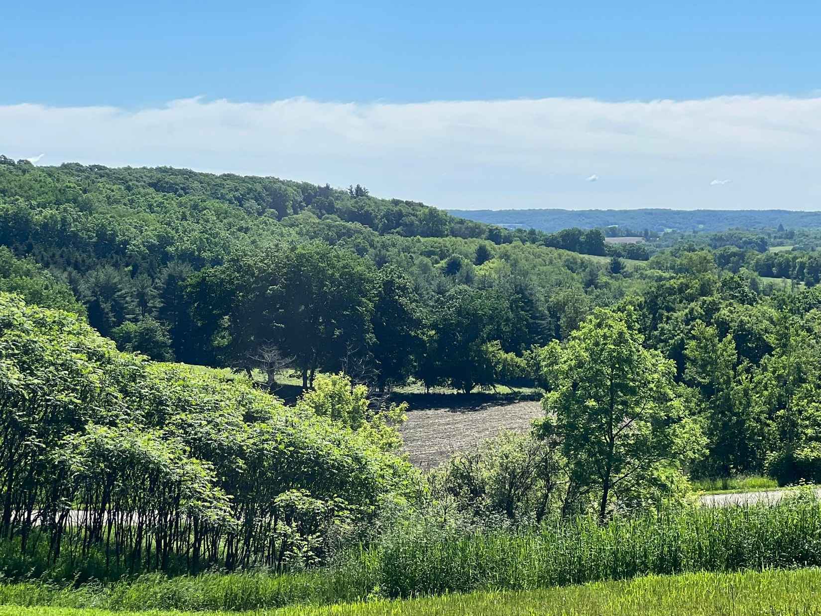 34 Acres Ozone Rd  