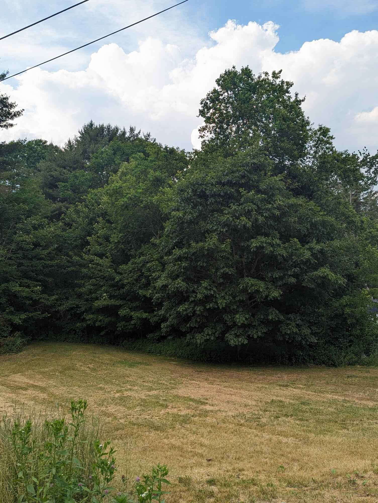 Lot Unit 8 Elenors Way  