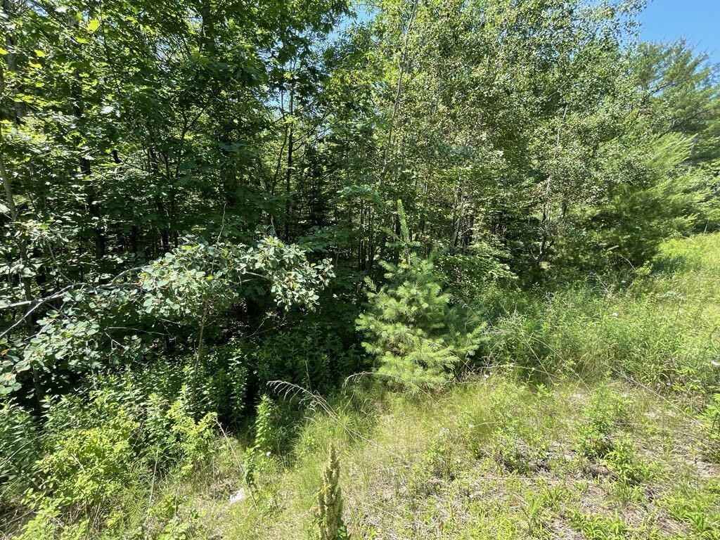 Lot 254 Eastern Ave  