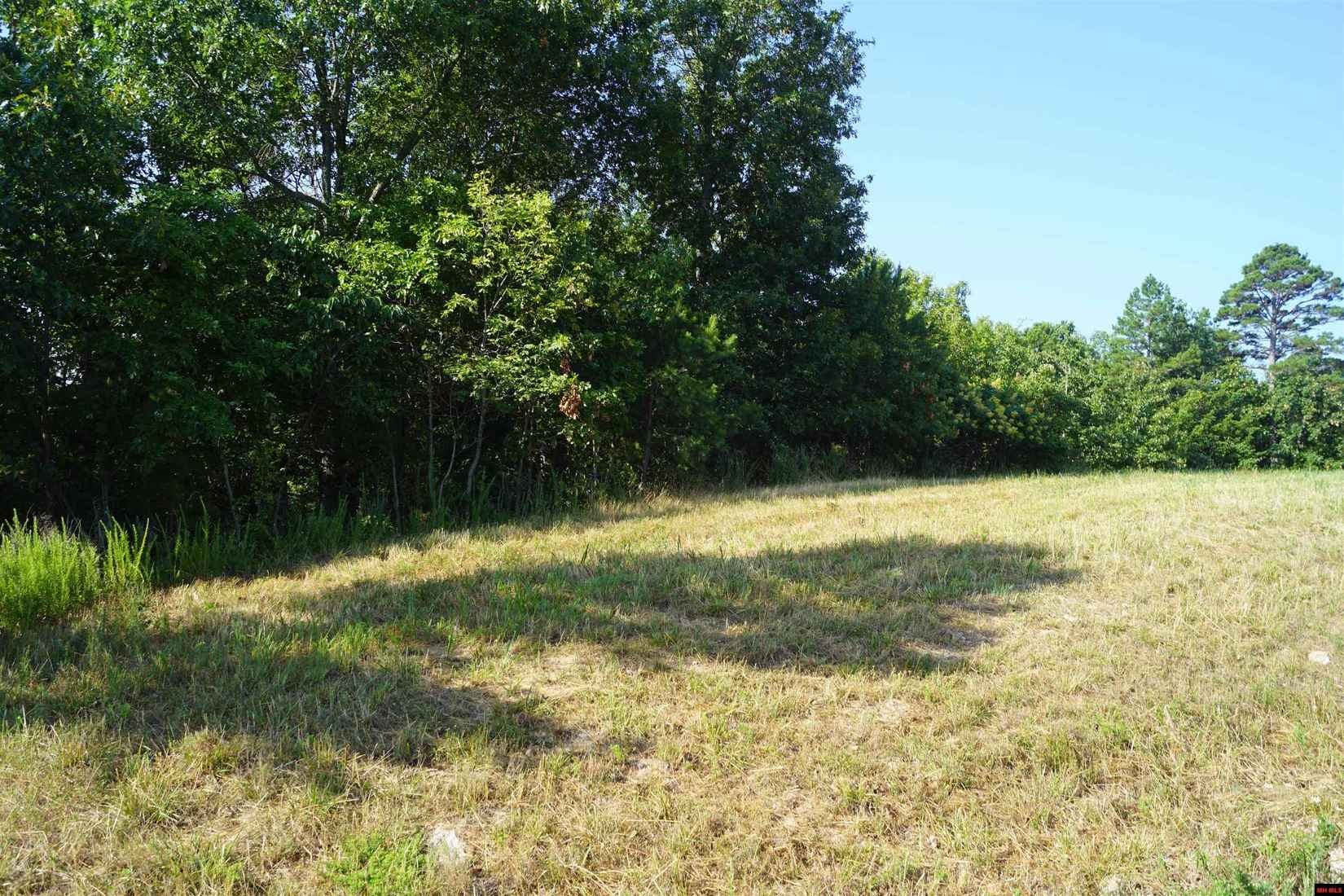 Lot 46 SWISS ALPS Ln  