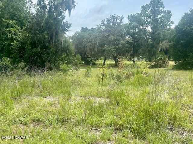 161 live oak Cir  