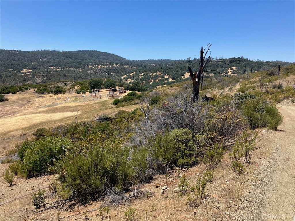 22182 Jerusalem Grade  