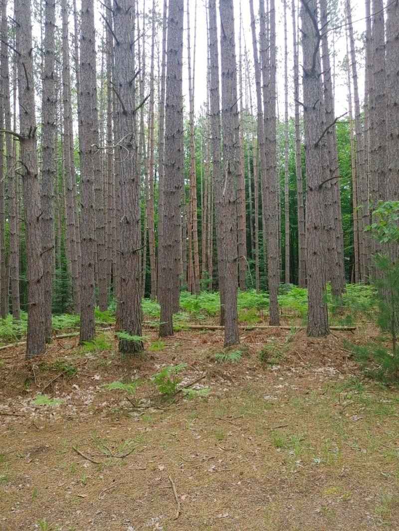Lot 44 DEERPATH RD  