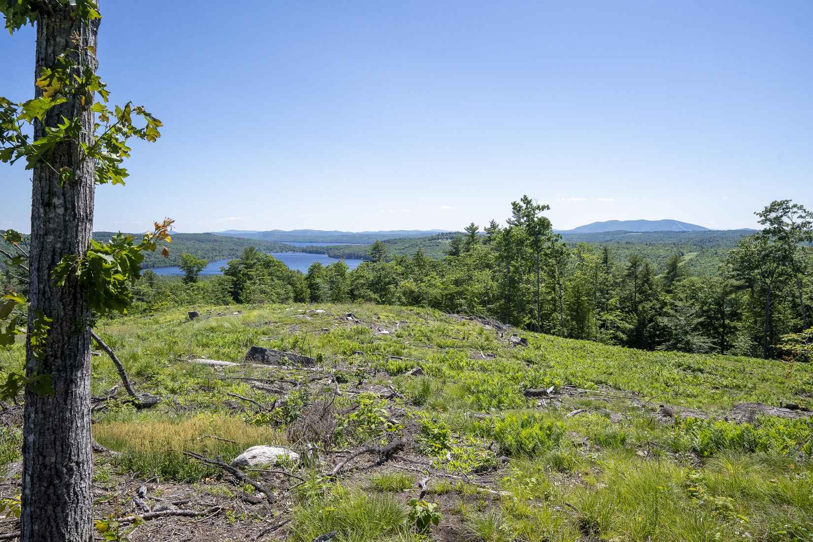 Lot 57 Deer Hill Run  