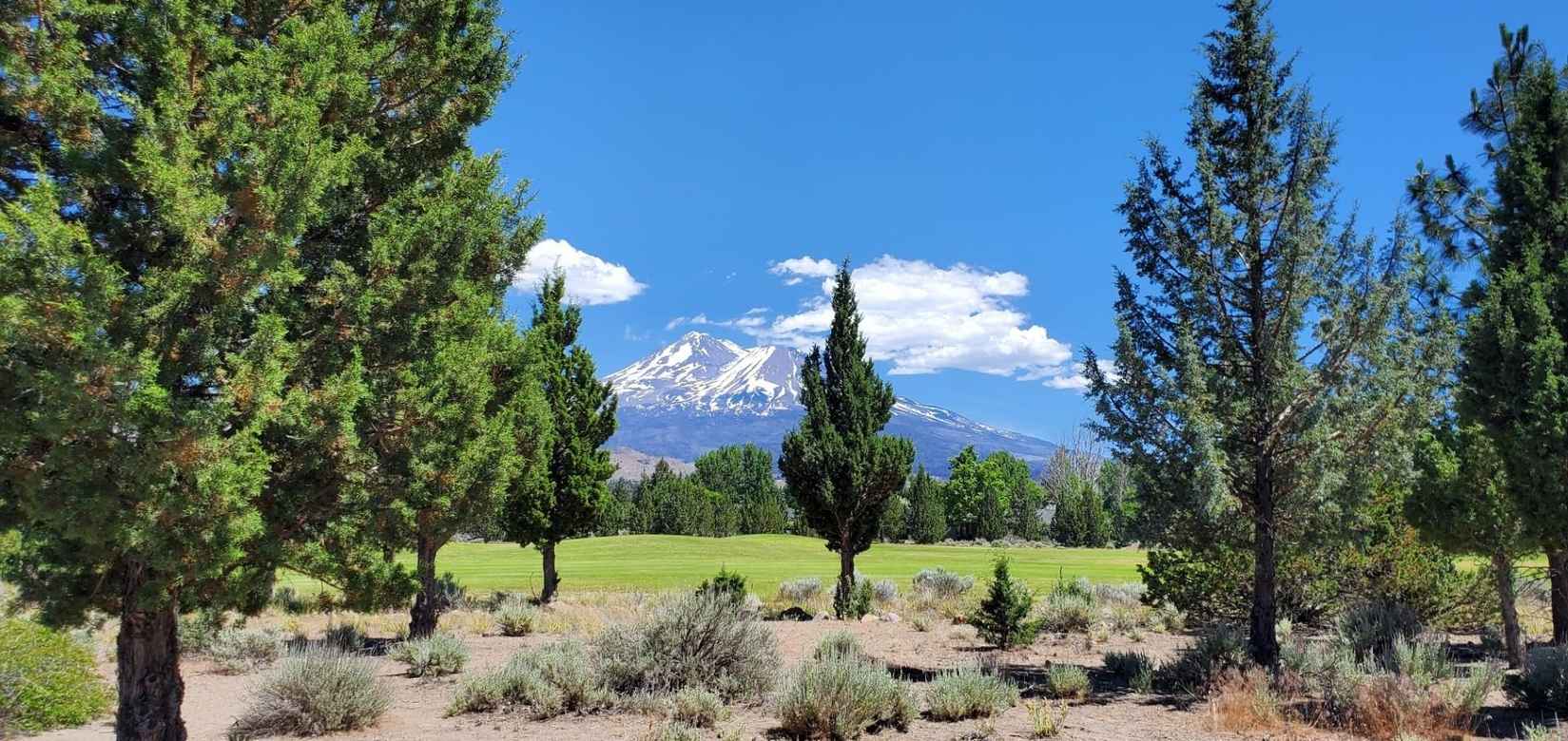 Unit 4 Lot 118 Lake Shr Dr  