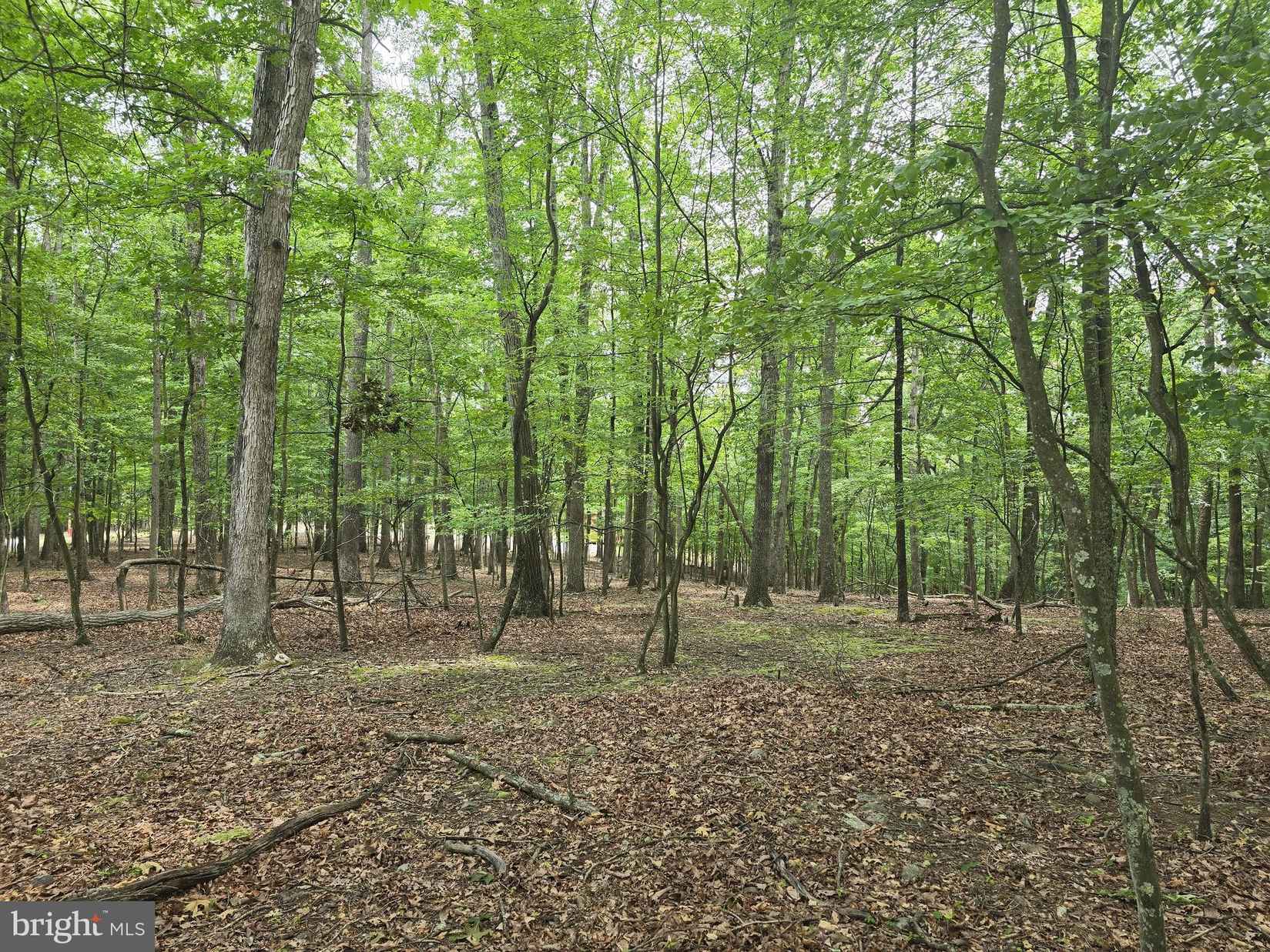 6 38 AC SIDELING MOUNTAIN TRL - Lot 64  