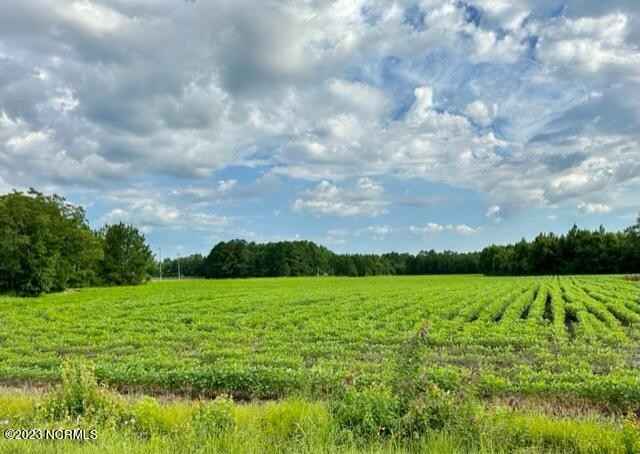 Beside 713 Minos Meares Rd Rd  