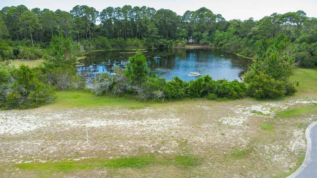 183 Lakes on the Blf Dr  