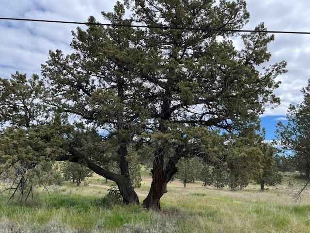 Lot 46 Marble Ave  