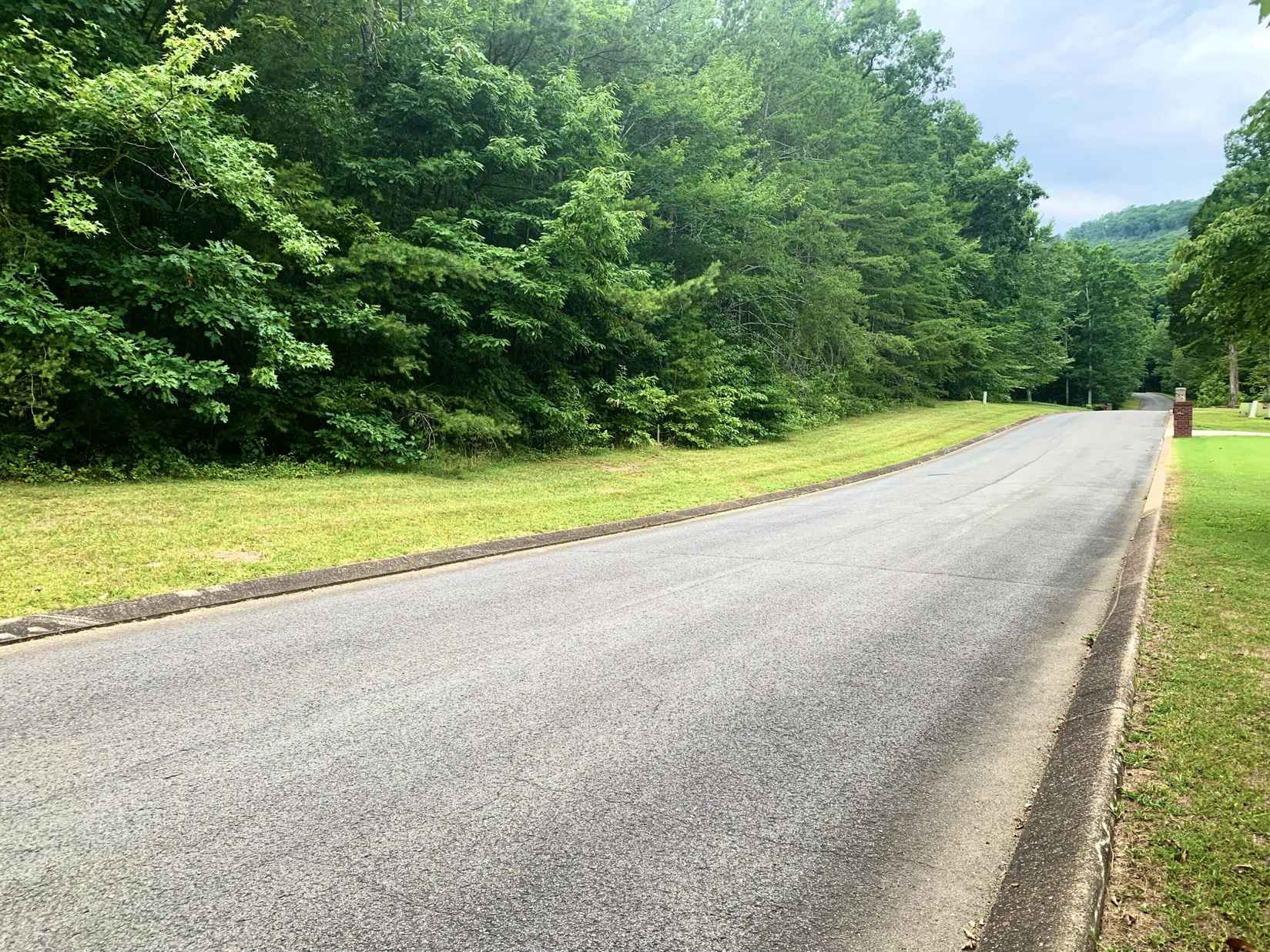 Lot 93 Big Cedar Dr  