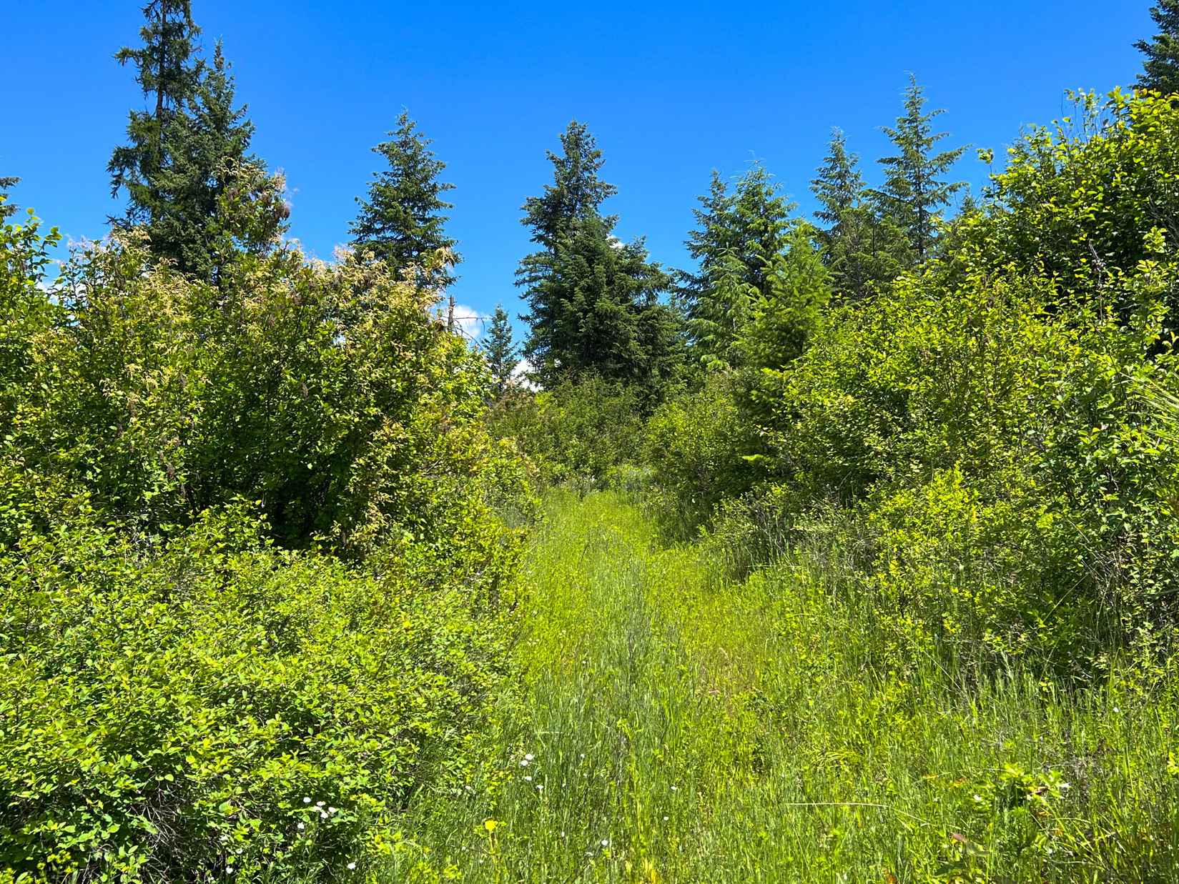 182X-TBD HWY 25  