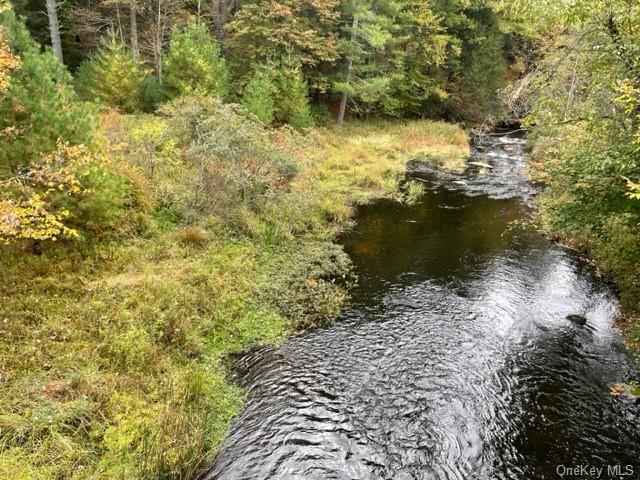 Chapin Trl 5 87 Acres  