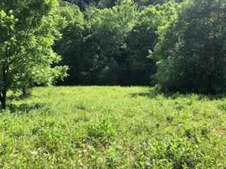 64 acres Add Stafford Rd  
