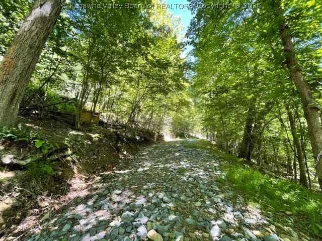 1251 Wolf Run Rd  