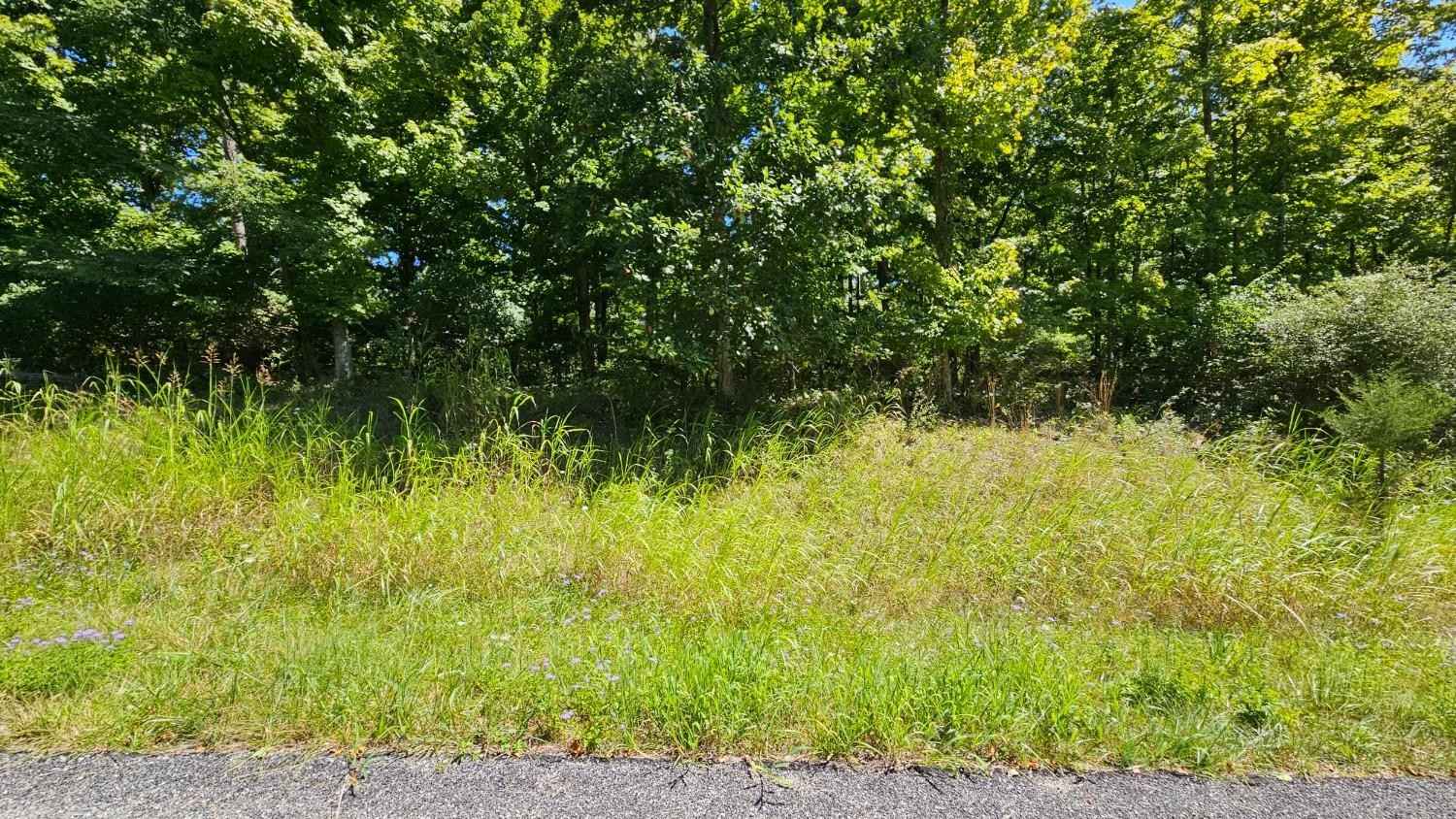 0 47 Falling Rock Dr  