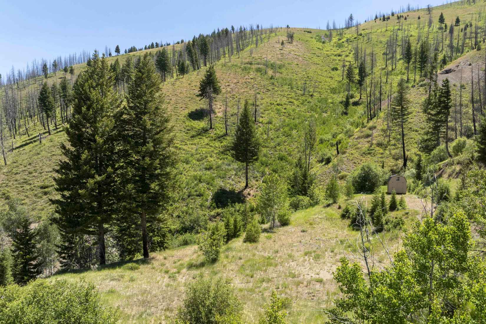 99 Imperial Gulch Rd  