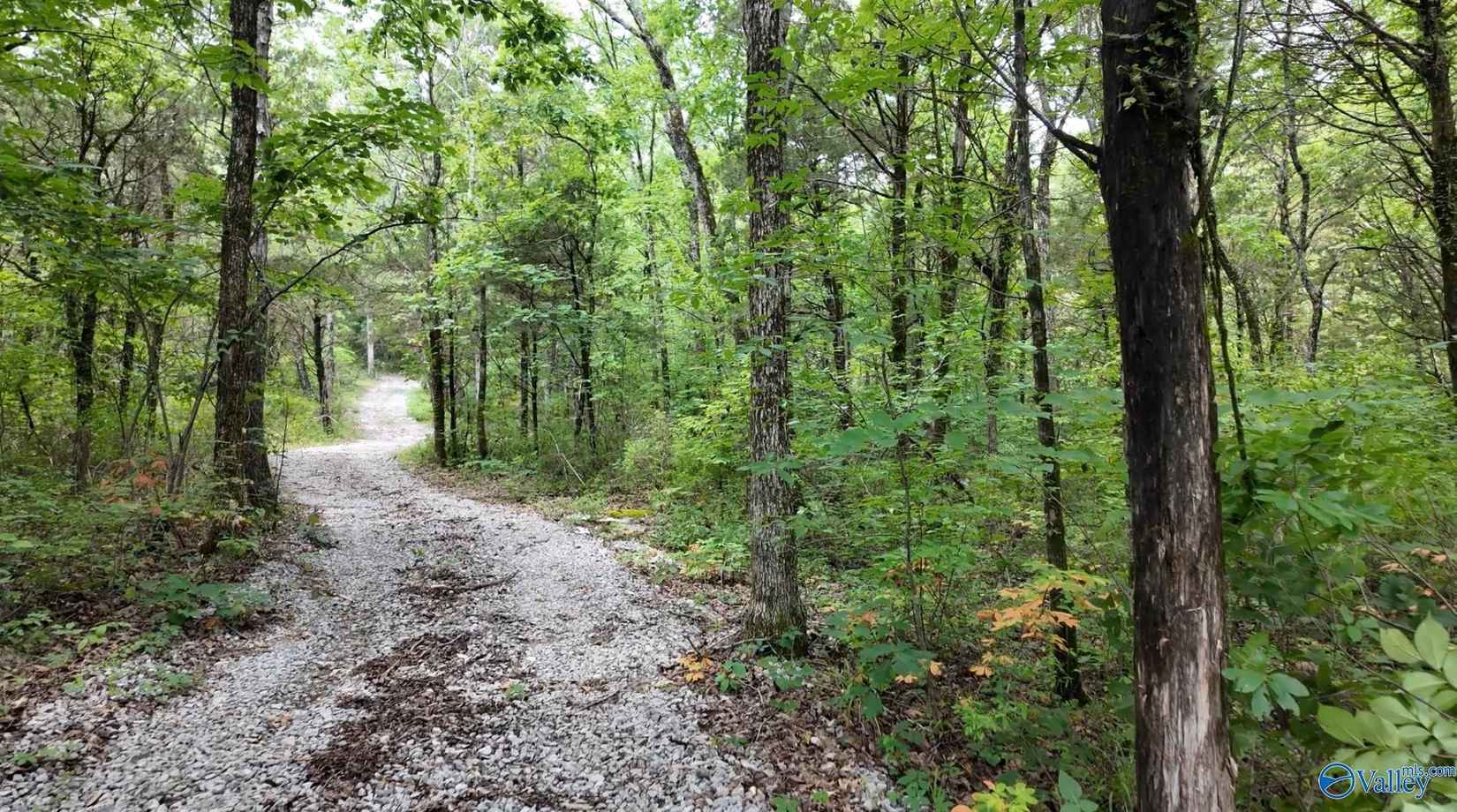 18 Acres County Rd 99  