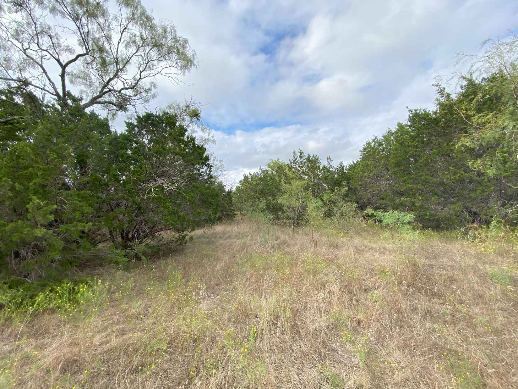 T3 TBD CR 3930  
