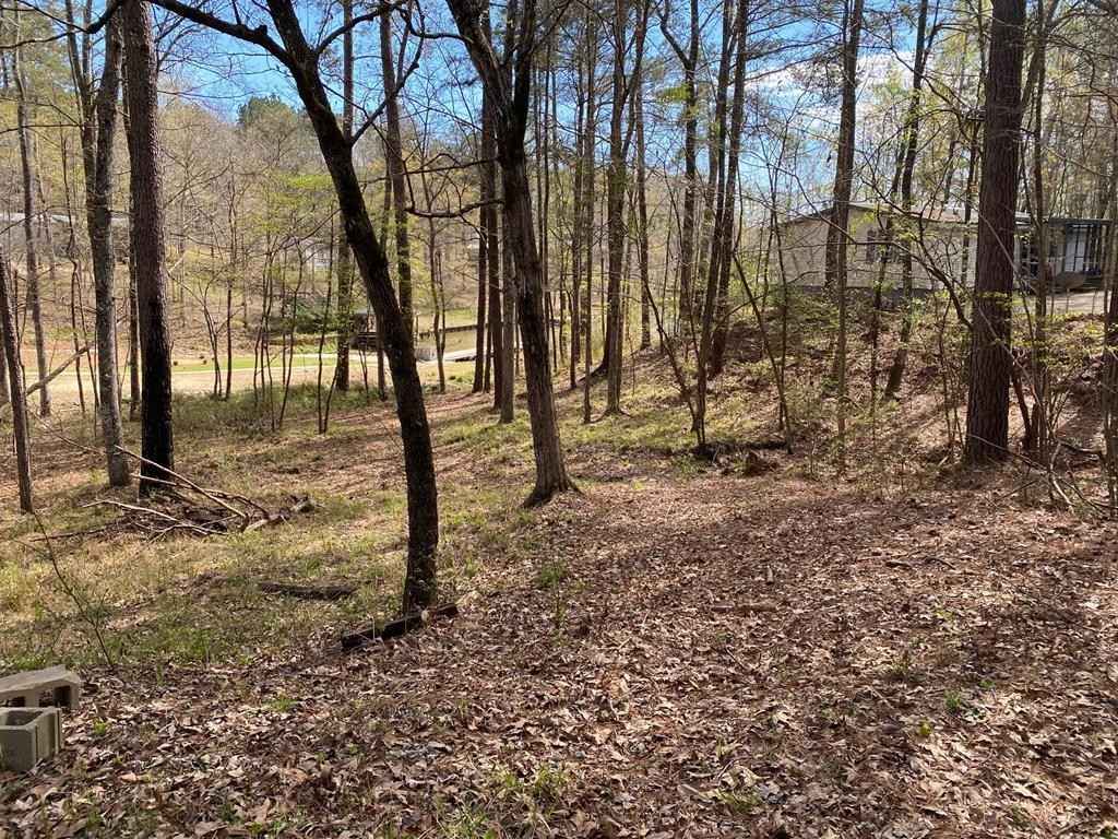 287 Bluegill Rd  