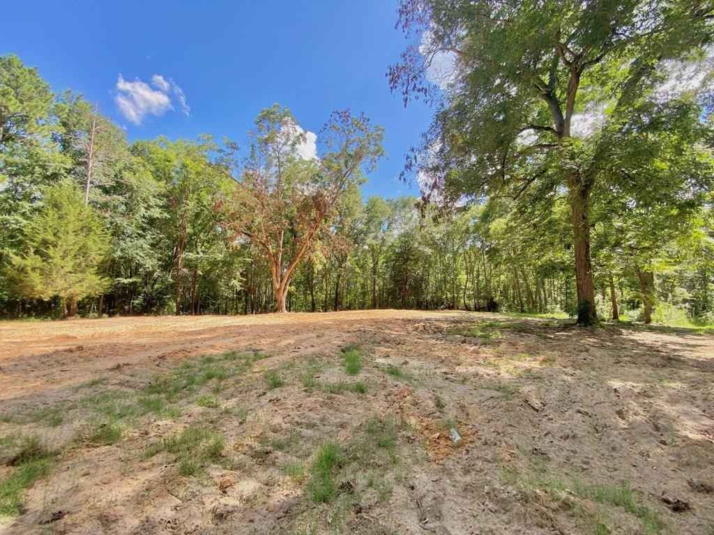 17134 State Highway 21 East  