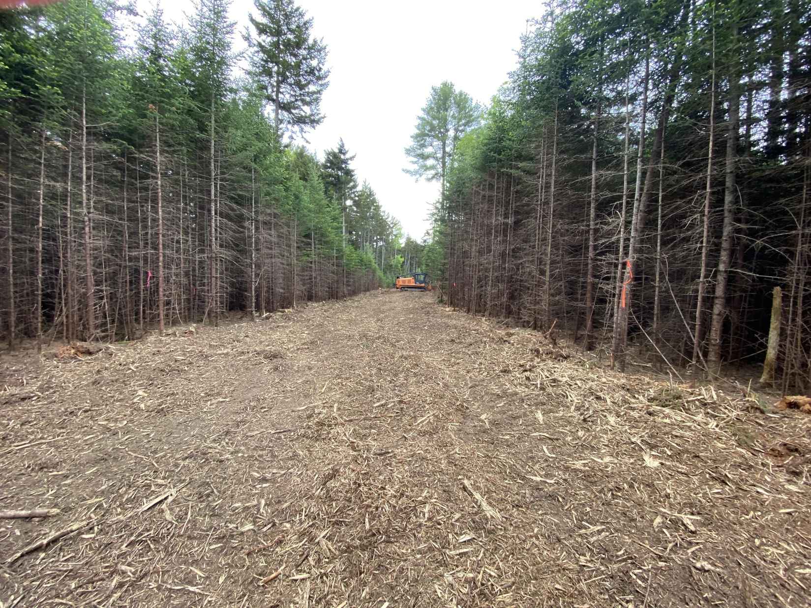 Lot A 38 Kings Timber Way  