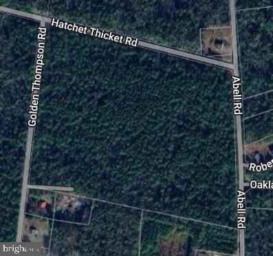 21126 GOLDEN THOMPSON Rd  