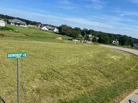 10174 Dewdrop LN  