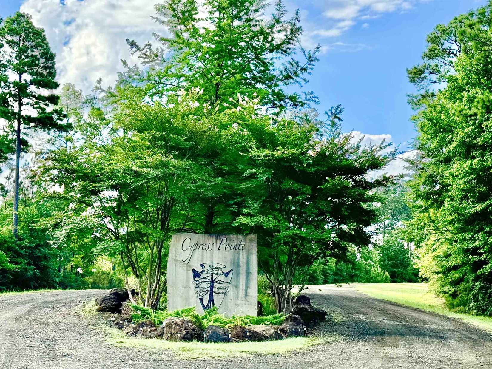 218 Cypress Royale W  