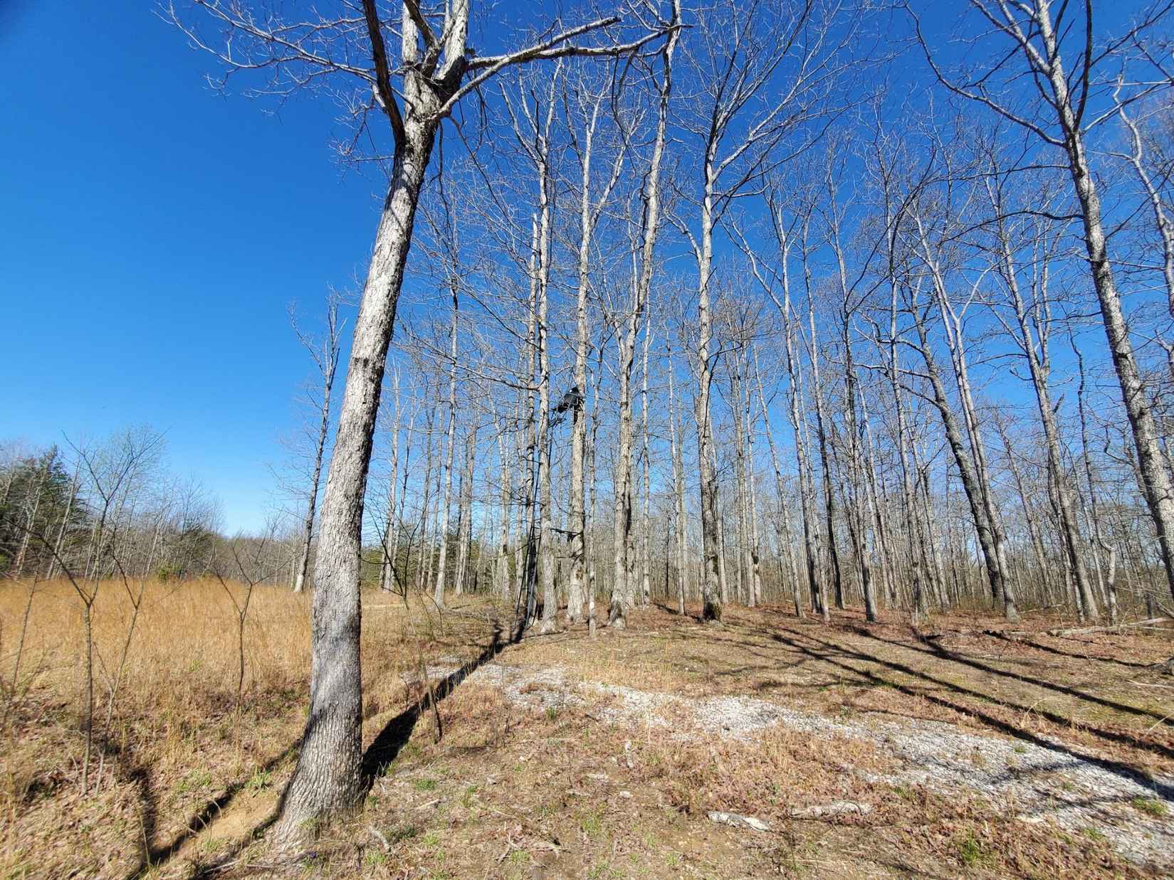 955 Pigeon Spur Rd  