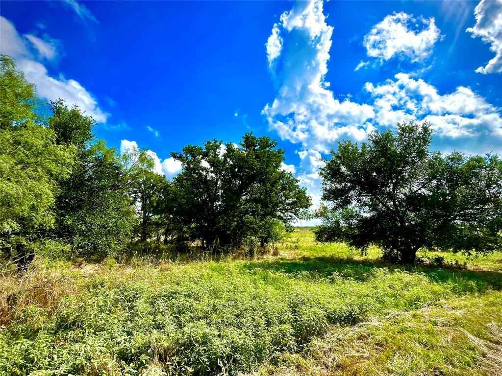 10840 281 Hwy  