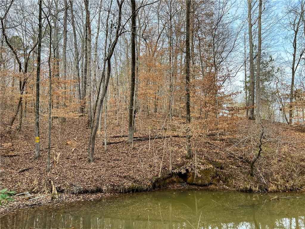 Lot 5a Lee Rd 462  