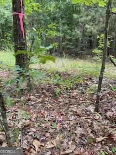0 Robert Rozier Rd ( Lot E)  