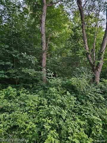 1401 SEVERANCE Rd  