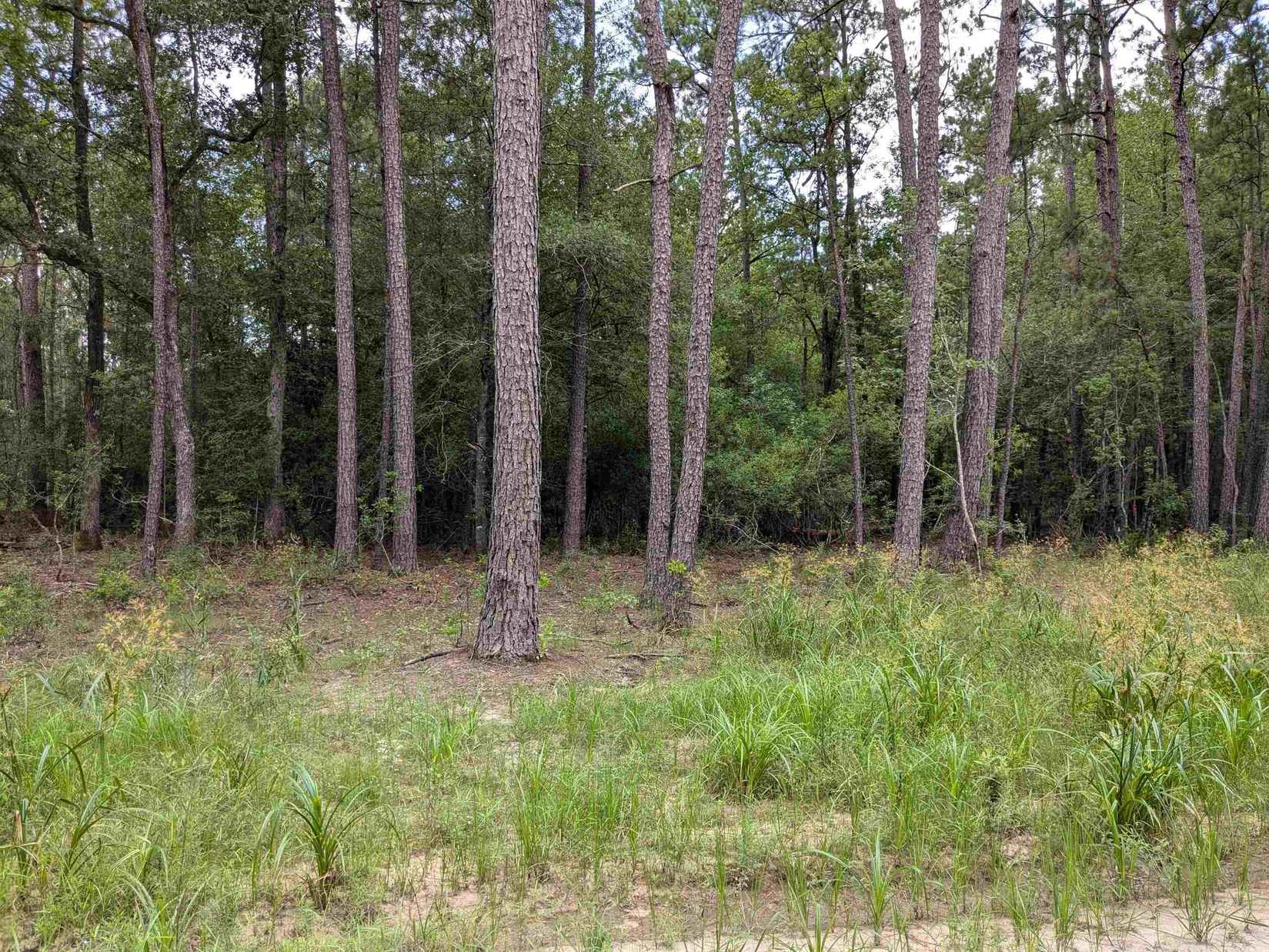 6810 Private Rd 8235  