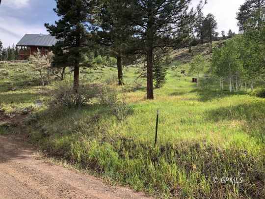 453 N Monika Dr  
