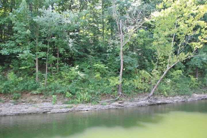 Lot Unit 46 John Holder Dr  