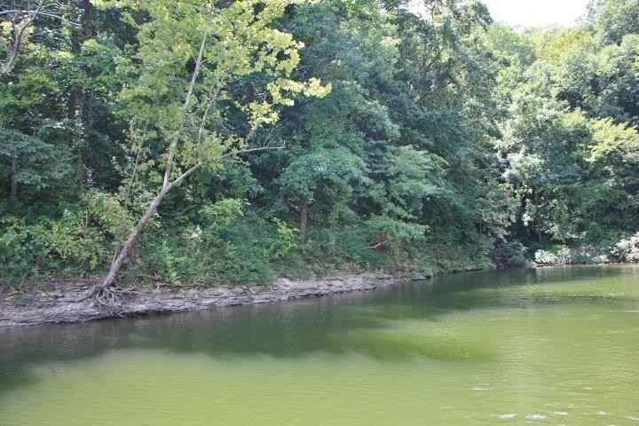 Lot Unit 47 John Holder Dr  
