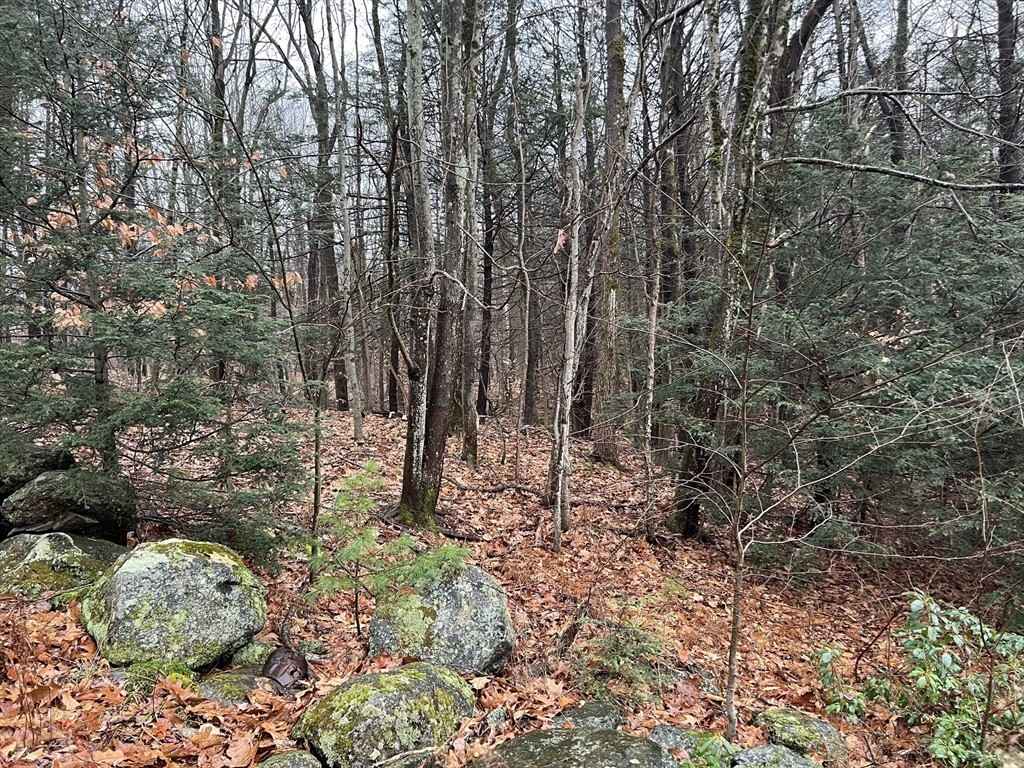 0 Overlook Rd  