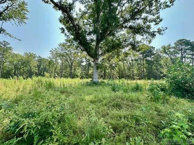 000 Hwy 104 Tract B  