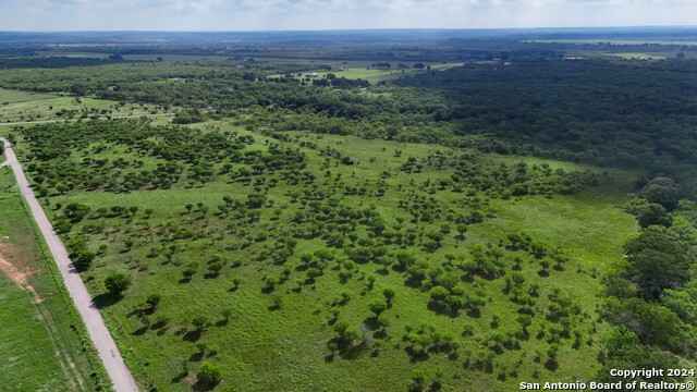 11550 - Tract B FM 466  