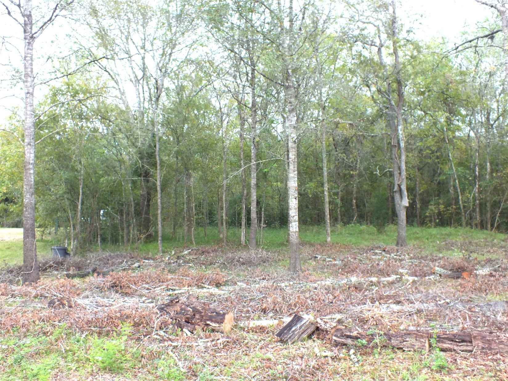 0 Patricia Lane County Rd 377  