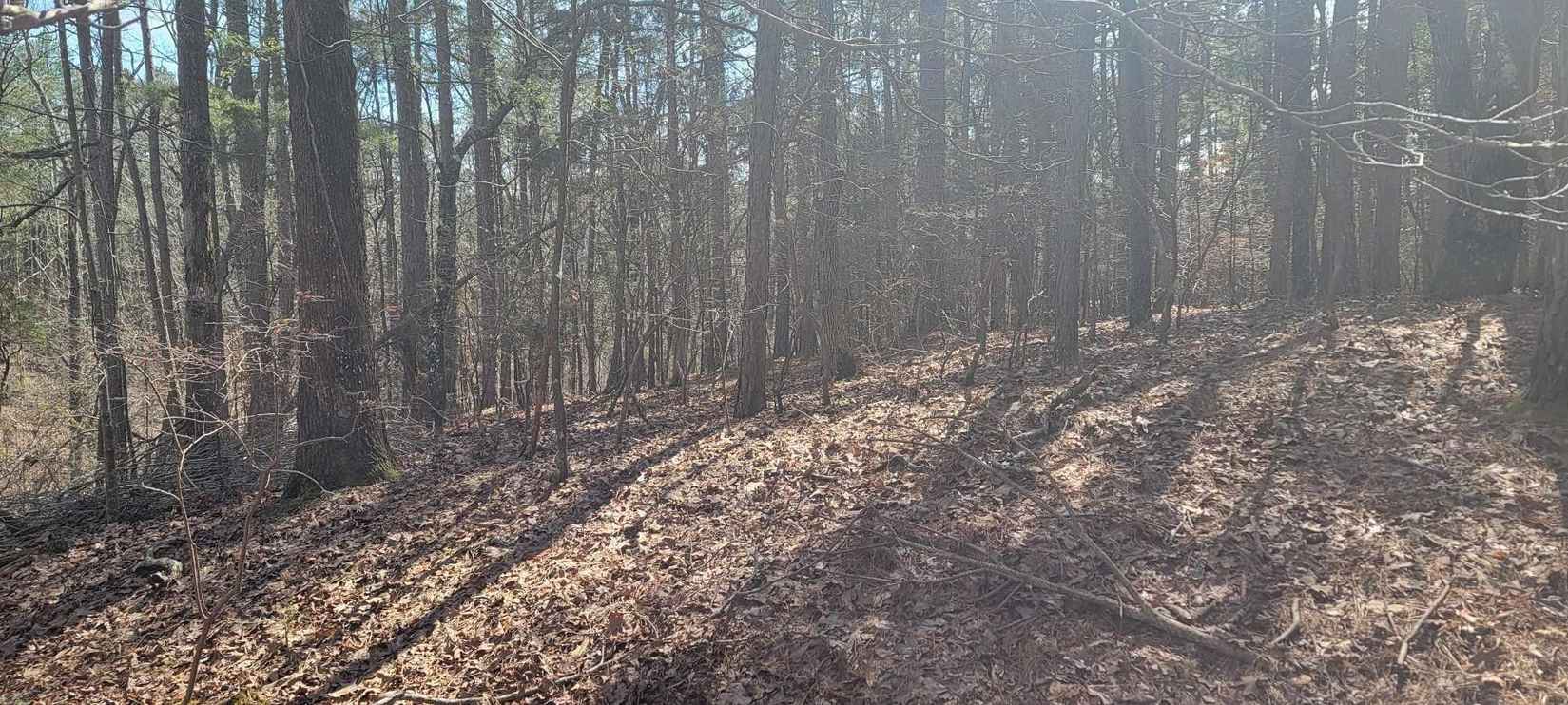 154 Oakgrove Rd Rs 154 Rd  