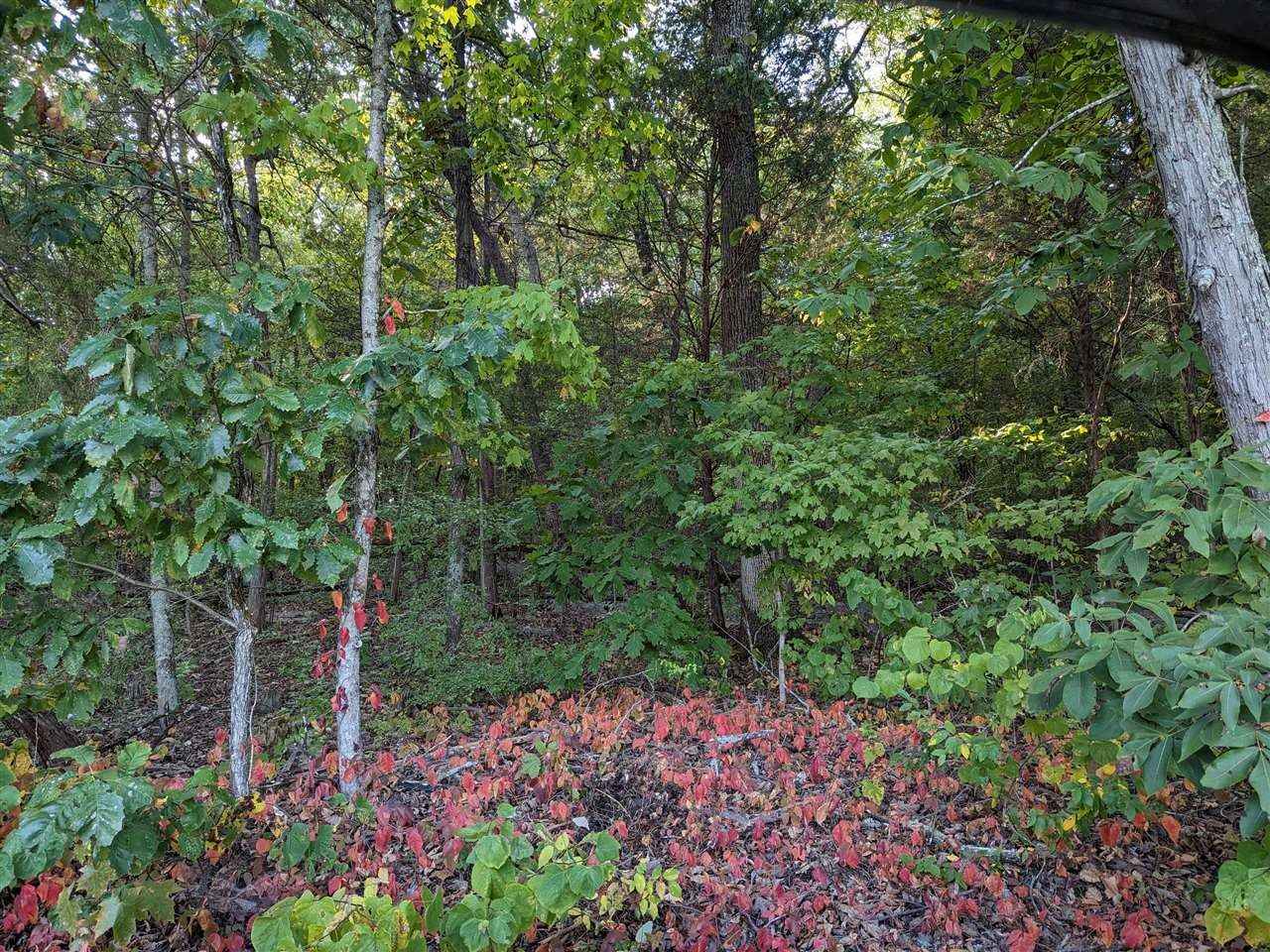 0 Brookwood Dr  