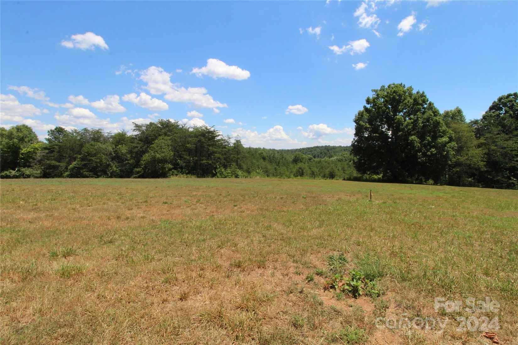 2085 Thoroughbred Way  